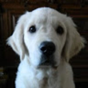 Meet your Posher, Keely